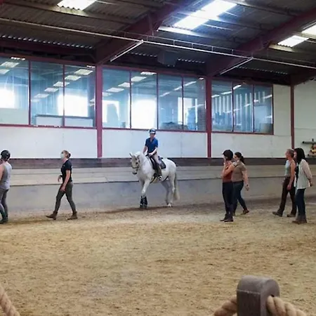 Kemping Equi-art Reitanlage *