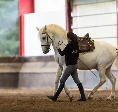Equi-art Reitanlage