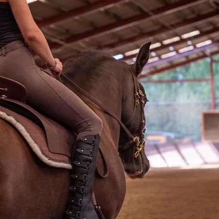 Equi-art Reitanlage Kemping