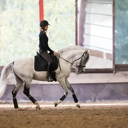 Kemping Equi-art Reitanlage Schwall