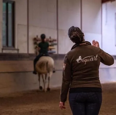 Equi-art Reitanlage Kemping