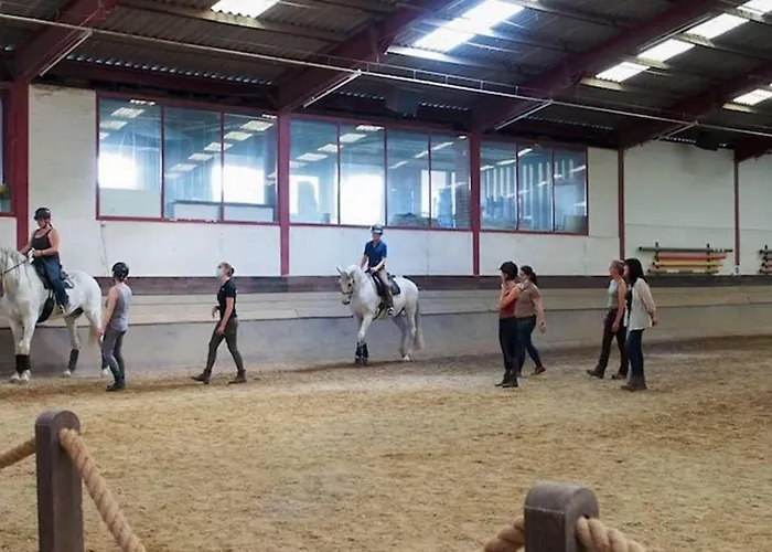 营地 Equi-art Reitanlage *