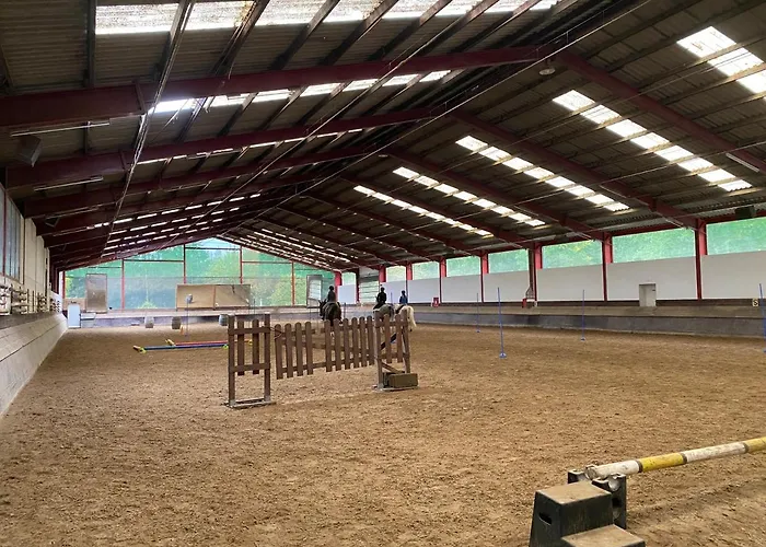 营地 Equi-art Reitanlage Schwall