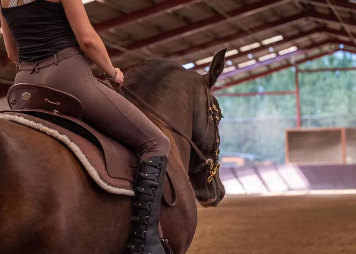 Equi-art Reitanlage 营地