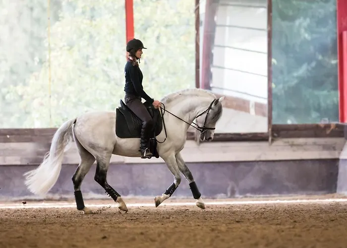 营地 Equi-art Reitanlage Schwall